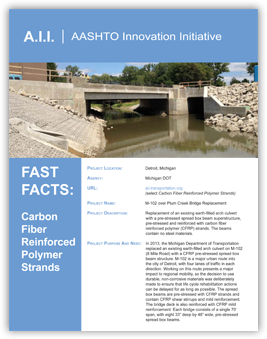 Michigan/Plum Creek Bridge fact-sheet thumbnail